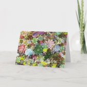 Farbige Sukkuline Karte (Vorderseite)