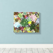 Farbige Sukkuline Leinwanddruck (Insitu (Holzboden))