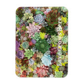 Farbige Sukkuline Magnet (Vertikal)