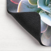Farbige Sukkuline Mousepad #3 (Ecke)