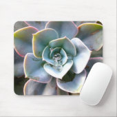 Farbige Sukkuline Mousepad #3 (Mit Mouse)