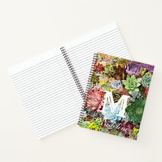 Farbige Sukkuline Notizblock (Innenseite)