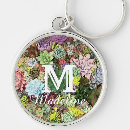 Farbige Sukkuline Schlüsselanhänger (Vorne)