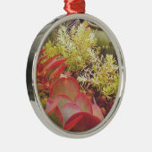 Farbige Sukkuline Silbernes Ornament (Rechts)