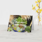 Farbige Sukkulturen mit Silbergras Karte (Gelbe Blume)