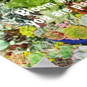 Farbige Sukkulturen mit Silbergras Poster (Ecke)