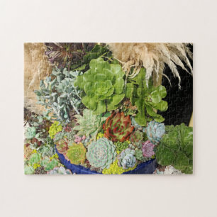 Farbige Sukkulturen mit Silbergras Puzzle