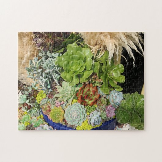 Farbige Sukkulturen mit Silbergras Puzzle (Horizontal)