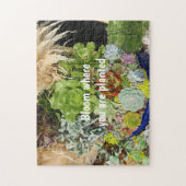 Farbige Sukkulturen mit Silbergras Puzzle (Vertikal)