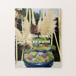 Farbige Sukkulturen mit Silbergras Puzzle