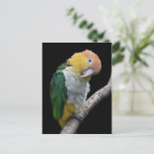 Farbige Süsse Postkarte (Stehend Vorderseite)