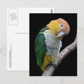 Farbige Süsse Postkarte (Vorne/Hinten)