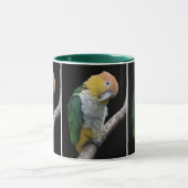 Farbige Süsse Tasse (Zentrum)