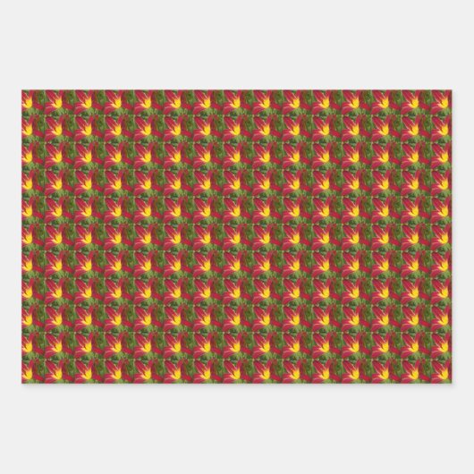 Farbige Taglilien Blumenmuster Geschenkpapier Set (Vorderseite 3)