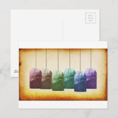 Farbige Teabags Postkarte (Vorne/Hinten)
