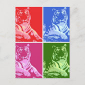 Farbige Tiger Postkarte (Vorderseite)