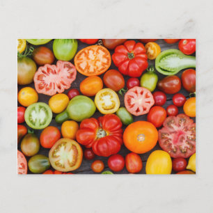 Farbige Tomaten Postkarte