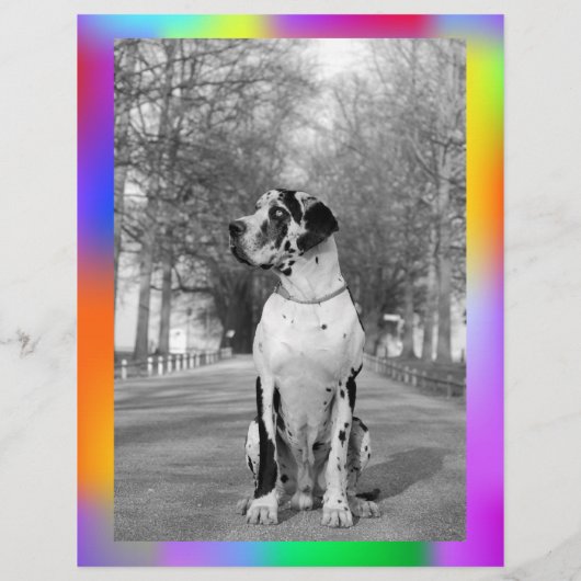 Farbige Träne von Welpenverkäufen Flyer (Hinten)