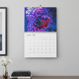 Farbige tropische Fische 2026 Unterwasserparadies  Kalender