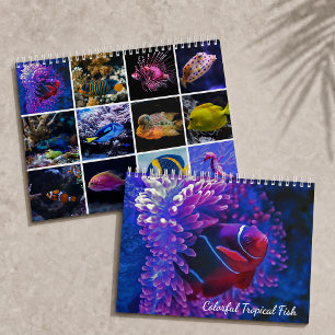 Farbige tropische Fische Unterwasserparadies 202 Kalender