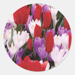 Farbige Tulip-Blume Aufkleber