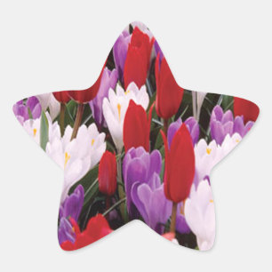 Farbige Tulip-Blume Aufkleber