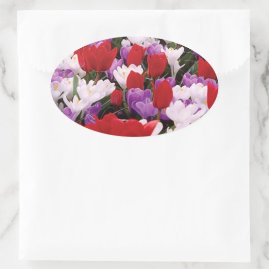 Farbige Tulip-Blume Aufkleber (Tasche)