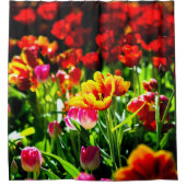 Farbige Tulip-Blume Duschvorhang (Vorderseite)