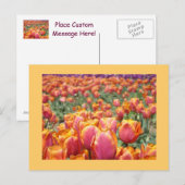 Farbige Tulip Blume Postkarten Tulip Custom (Vorne/Hinten)