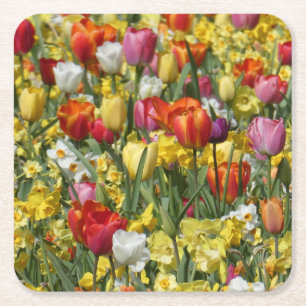 Farbige Tulips & Daffodien Blume Papier Untersetze Rechteckiger Pappuntersetzer