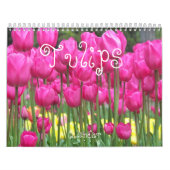 Farbige Tulips floral fotografisch Kalender (Titelbild)