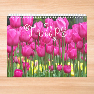 Farbige Tulips floral fotografisch Kalender