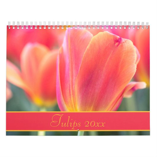 Farbige Tulips-Fotografie Kalender (Titelbild)