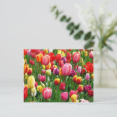 Farbige Tulips Postkarte (Stehend Vorderseite)