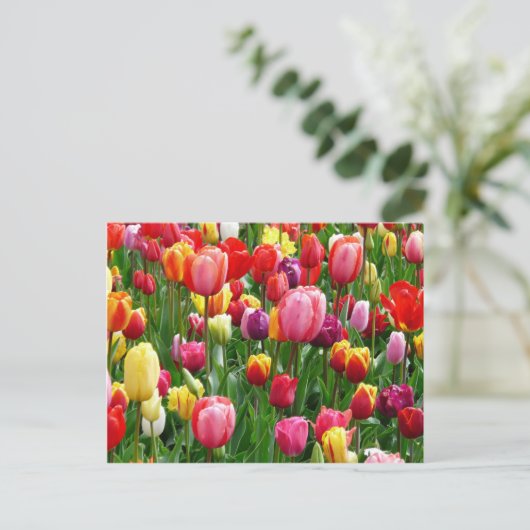Farbige Tulips Postkarte (Stehend Vorderseite)
