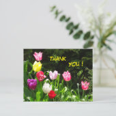 Farbige Tulips Vielen Dank Postcard Postkarte (Stehend Vorderseite)