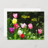 Farbige Tulips Vielen Dank Postcard Postkarte (Vorne/Hinten)