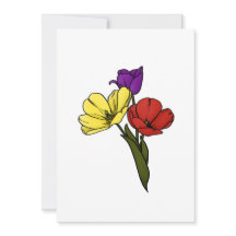 Farbige Tulissen in Gelb Lila und Rot