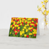 Farbige Tulissen IV Karte (Gelbe Blume)