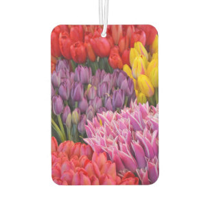 Farbige Tulpen Autolufterfrischer