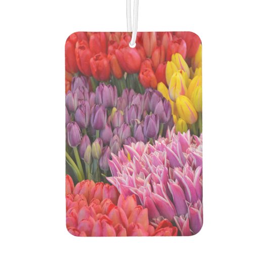 Farbige Tulpen Autolufterfrischer (Rückseite)