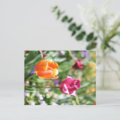 Farbige Tulpen Botanische Postkarte (Stehend Vorderseite)