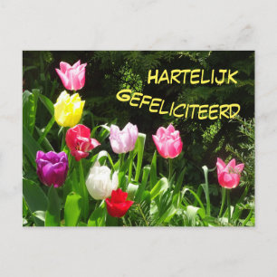 Farbige Tulpen Frohe Geburtstag Postkarte