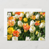 Farbige Tulpen im Garten Feiertagspostkarte (Vorne/Hinten)