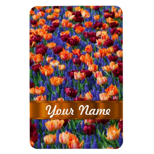 Farbige Tulpen Magnet (Vertikal)