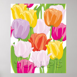 Farbige Tulpen Poster