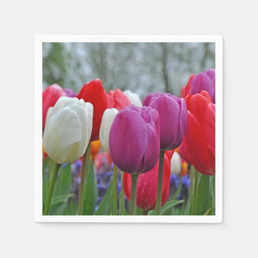 Farbige Tulpen Schönheitsaufkleber Serviette (Vorderseite)