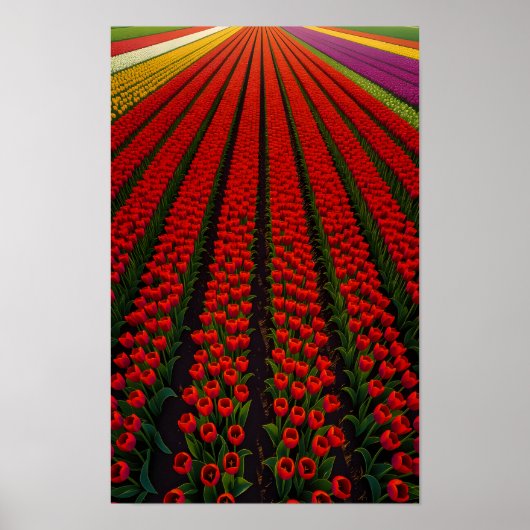 Farbige Tulpenfelder Poster (Vorne)