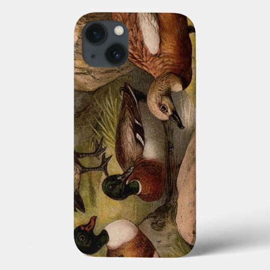 Farbige Vintage Entenmalerei Case-Mate iPhone Hülle (Rückseite)