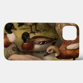 Farbige Vintage Entenmalerei Case-Mate iPhone Hülle (Rückseite (Horizontal))
